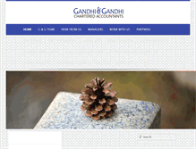 Tablet Screenshot of gandhis.com